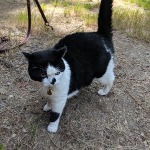 Meet your Posher, Cuc